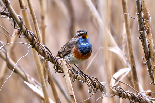 FUTL5141-24.April 2021.jpg