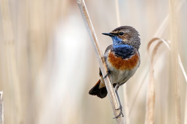 FUTL5167-24.April 2021.jpg