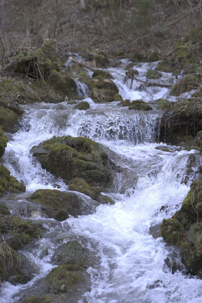 Bachlauf.jpg