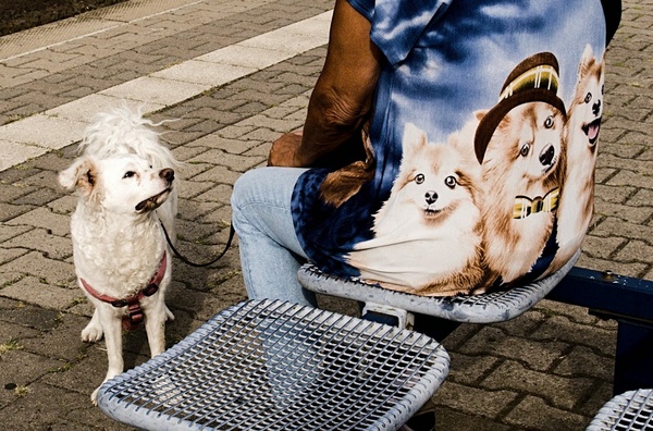 Das Modell und ihr Werk