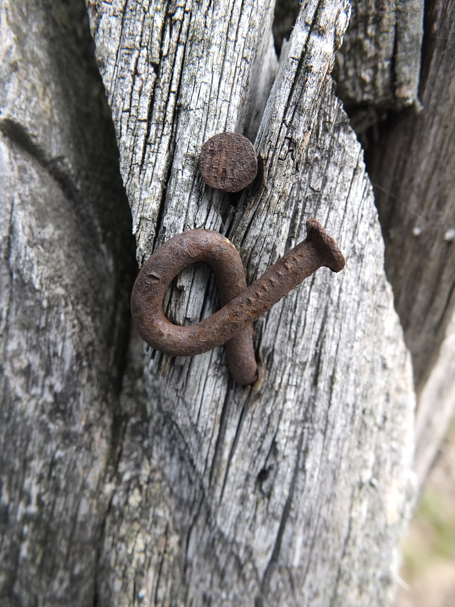 Meine Fujifilm X-S1 "X" Fotografien - Album 2