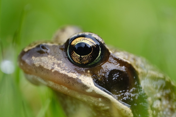 Ich habe Dich im Blick.jpeg