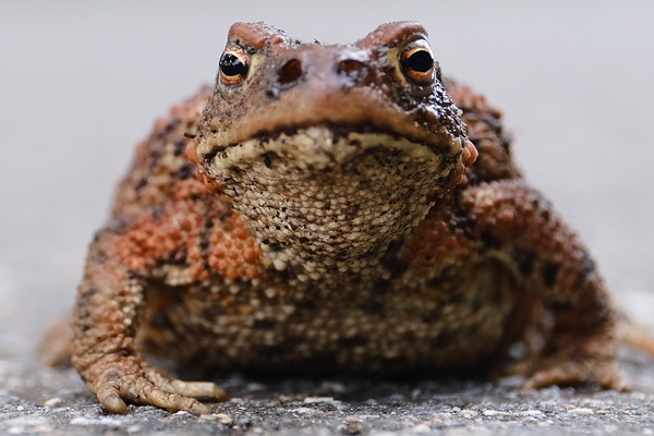 Ich sehe Dich!!.jpeg