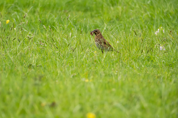 DSCF1194.jpg