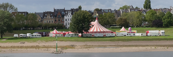 circus 3-1 .jpg